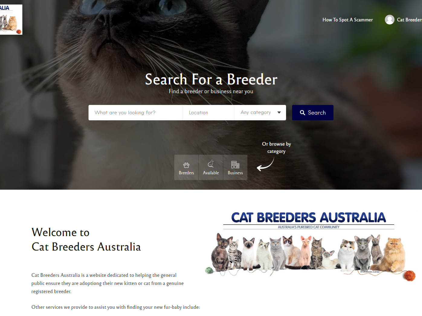 Cat Breeders Australia